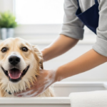 Complete Guide to Bathing Your Dog at Home